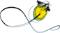 firefly