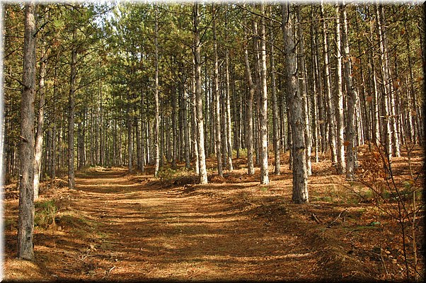 Image for displaying - bad file name possibly containing non-Latin letters