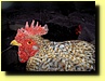 Image thumbnail