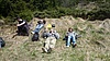 Image thumbnail