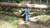 Image thumbnail