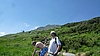 Image thumbnail