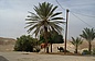 Image thumbnail