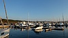 Image thumbnail
