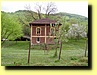 Image thumbnail