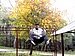 Image thumbnail