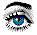 eye