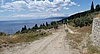 Image thumbnail