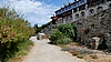 Image thumbnail